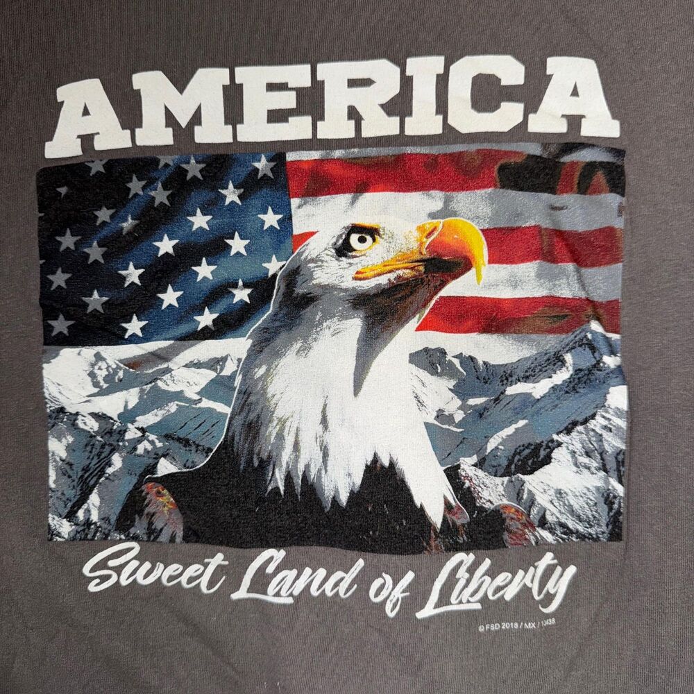 America Sweet Land Liberty Flag Shirt Mens XL Patriotic Grey Top Eagle USA Pride